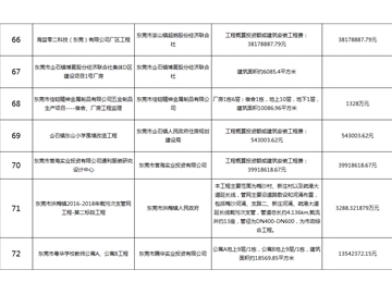 主要监理工程（十）